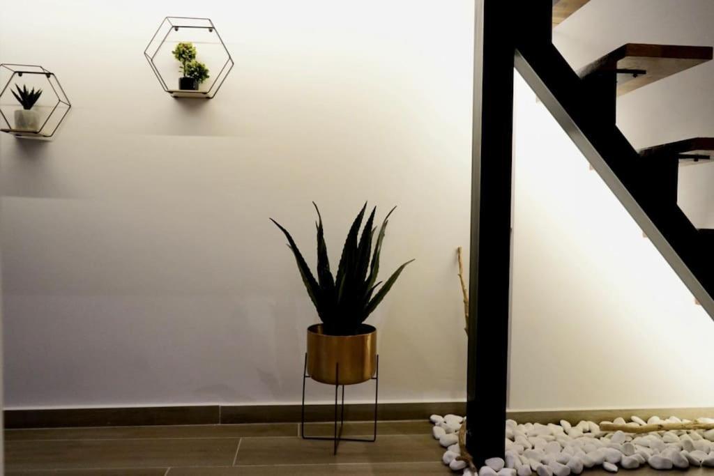 דירות פאטרה Cosy Loft מראה חיצוני תמונה